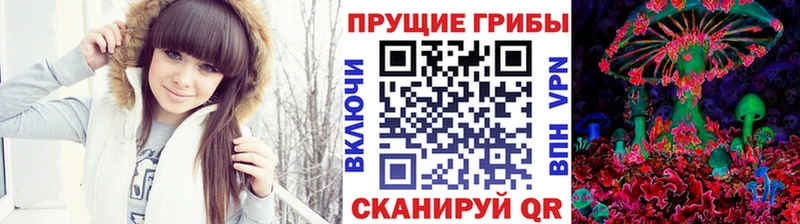 купить наркоту  Верещагино  Галлюциногенные грибы Magic Shrooms 